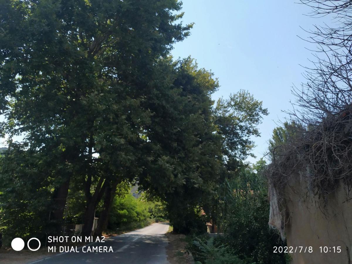 Giotas - Kır Evi *